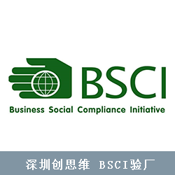 哪些审核公司能够审BSCI？