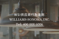 WSI验厂简介,WSI验厂审核项目有哪些？