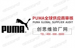 PUMA彪马公司简介